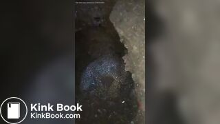 indo girl scat