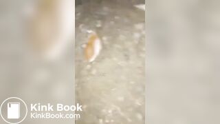 indo girl scat
