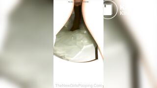 Toilet snake escapes