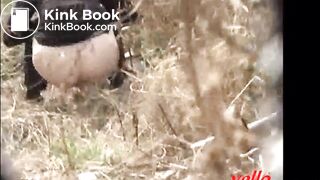 Desperate city lady dashes into field to poop (5)