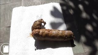 Videos 274 - video 2