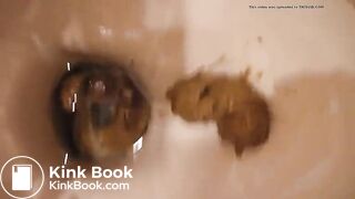 Mature German lady's toilet poop