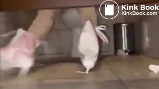 Explosive severe diarrhea