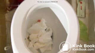 Shit sausage