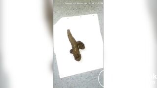 Anna scat - video 2