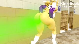 A Tale of the Twin Renamons Part 3