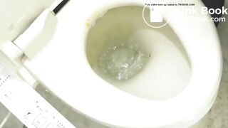 Japanese OL Toilet(no sound)