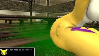 A Tale of the Twin Renamons Part 2