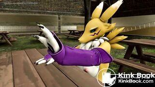 A Tale of the Twin Renamons Part 2