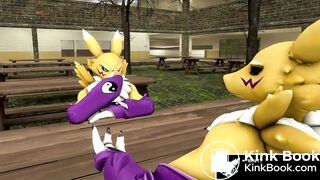 A Tale of the Twin Renamons Part 2