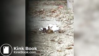 Jp outdoor poop - video 5