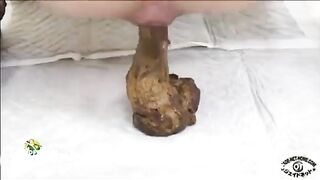 pooping - video 393