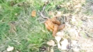 girl decides to shit outdoors in a park