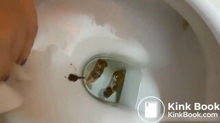 Public Bathroom Pooping (2)