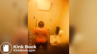 Office Toilet 292SHIT