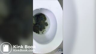 toilet big dump
