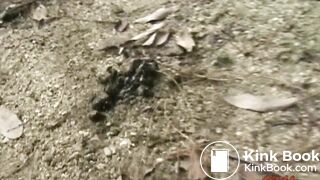 Misfortune of a woman pooping outdoors