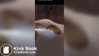 Scat Masturbation - video 10