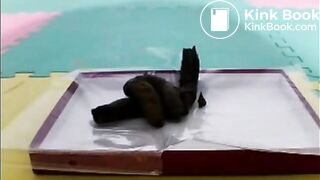 Chinese mistress temptation scat(Chinese subtitle)02