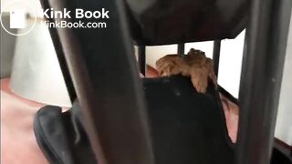 Mistress Using Her Toilet