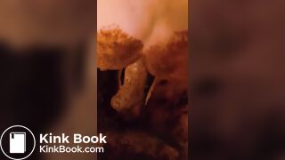 Shitty Anal - video 33