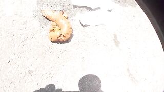 Asian girl pooping in public parking lot