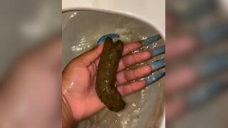 l***p*** grabs scat log straight from toilet bowl