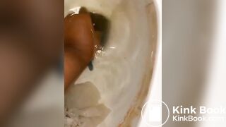 l***p*** grabs scat log straight from toilet bowl
