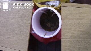 Chinese femdom scat - video 14
