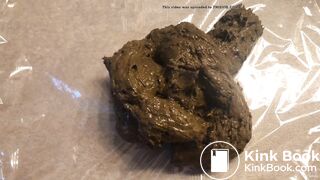 Poop with Crotchless Panty