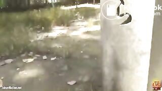 japanese kimono girl shitting outdoor