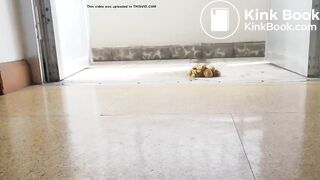 Pooping - video 403