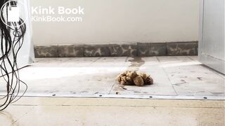 Pooping - video 403
