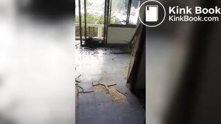 Big Shit on Hotel floor in Thailand - video 2