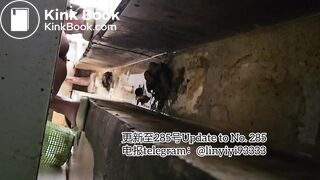 Beautiful girl poops in the toilet 73