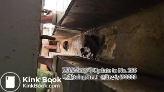 Beautiful girl poops in the toilet 73