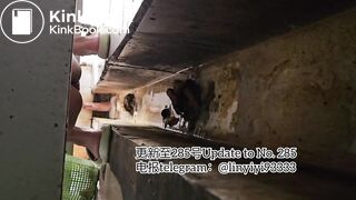 Beautiful girl poops in the toilet 73