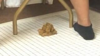 Big ass shitting - video 9