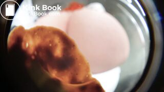 Big ASS push her shit