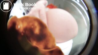 Big ASS push her shit