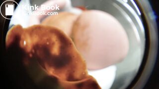 Big ASS push her shit