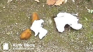 Japanese Public Pantypoop