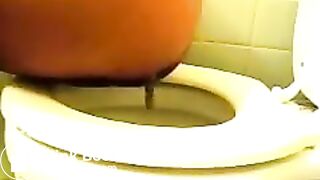 Coco Pooping Compilation