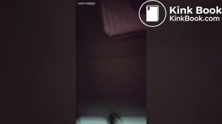 Chinese Public Scat 1