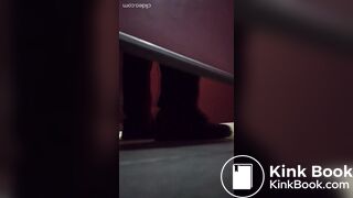 Chinese Public Scat 1