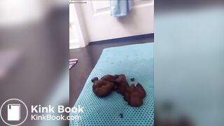 Platinum blonde different poops cute