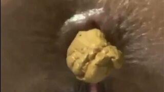 Ebony Honey Dropping Loads 04