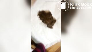Amazing poop - video 3