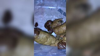 Princess wants me to eat 7