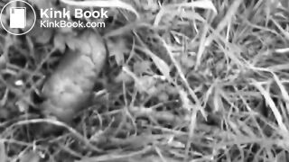 Girl pooping outside - video 2